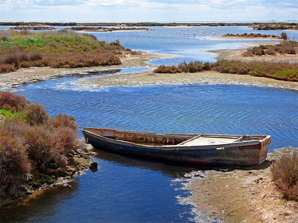 Descubre el Parque Natural del Delta del Ebro