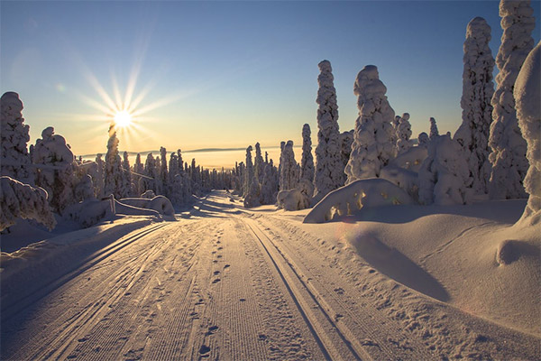 ¿Cuál es la mejor época para viajar a Laponia?