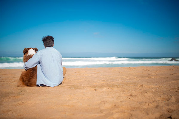 Playas para ir con perros