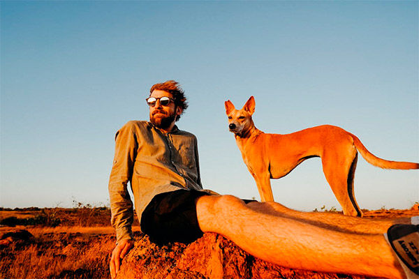 Viajar con mascotas