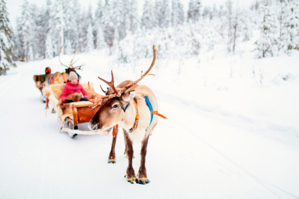 Los mejores destinos para viajar en Navidad y Fin de Año