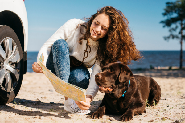 Viajar con perro: los mejores destinos pet friendly en España