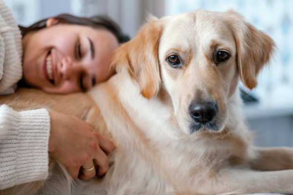¿Y si tu perro es un animal de apoyo emocional?